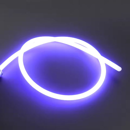LIGHTSABER WHIP (WORKS WITH ANY BRAND)