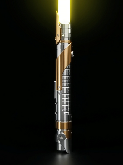 THE PIRATE PROTECTOR